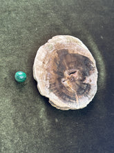 Load image into Gallery viewer, bry.floyd
