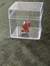 Load image into Gallery viewer, oddashira
