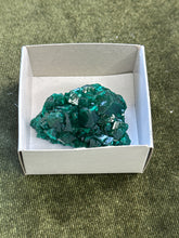 Load image into Gallery viewer, m0onshroom
