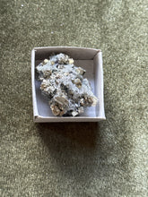 Load image into Gallery viewer, evephillips_
