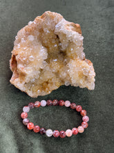 Load image into Gallery viewer, dee.pils
