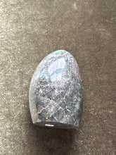 Load image into Gallery viewer, jellyfishstargazer
