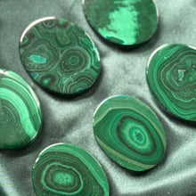 Load image into Gallery viewer, Malachite Palms

