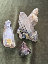 Load image into Gallery viewer, fayhallard
