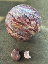 Load image into Gallery viewer, jellyfishstargazer
