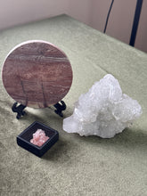 Load image into Gallery viewer, sleeps_all_day
