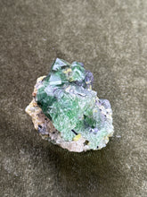 Load image into Gallery viewer, alongtheshore_
