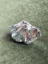 Load image into Gallery viewer, sleeps_all_day
