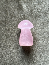 Load image into Gallery viewer, leeannclement
