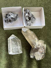 Load image into Gallery viewer, dee.pils
