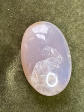 Load image into Gallery viewer, vickyvizard
