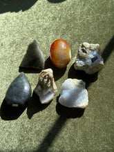 Load image into Gallery viewer, crittersofcrystalhollow

