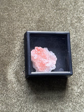 Load image into Gallery viewer, pipsuxx
