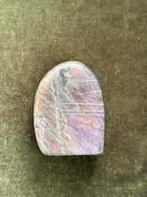 Load image into Gallery viewer, mrs_tinkerbelcher
