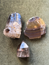 Load image into Gallery viewer, crittersofcrystalhollow
