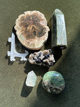 Load image into Gallery viewer, crittersofcrystalhollow
