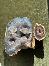 Load image into Gallery viewer, crittersofcrystalhollow
