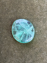 Load image into Gallery viewer, nocturnal.reading
