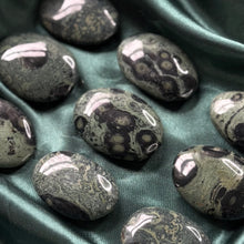 Load image into Gallery viewer, Kambaba Jasper Palms
