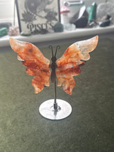 Load image into Gallery viewer, autumnfairy77
