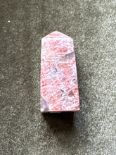 Load image into Gallery viewer, diannecat_
