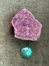 Load image into Gallery viewer, lilpinkfr0g
