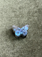 Load image into Gallery viewer, cat_mess
