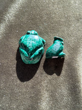 Load image into Gallery viewer, cryptidkit_
